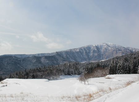 雪化粧を施した県下最高峰の氷ノ山