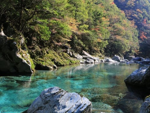 村内を流れる川