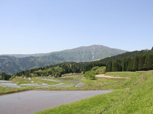 美しい風景がたくさんあります