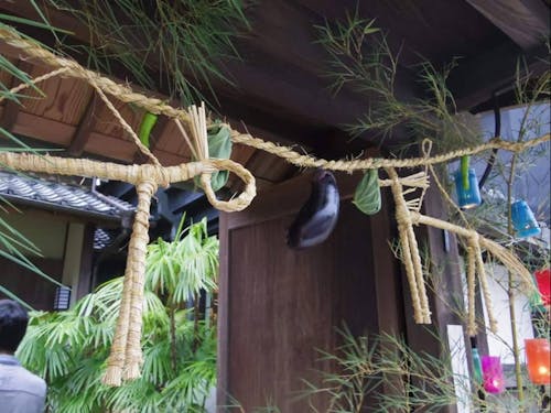 須崎市には古くから、七夕の笹飾りと共に藁で作った馬を飾る風習があります。