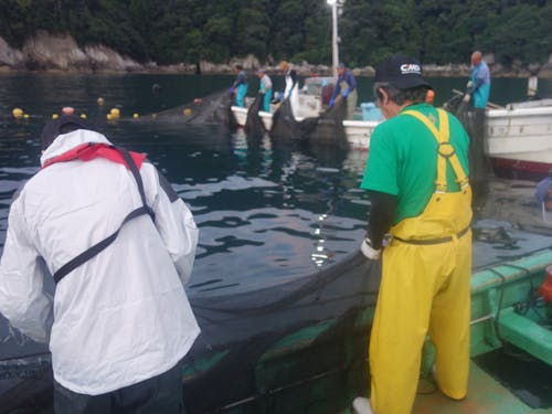 漁業体験教室の様子