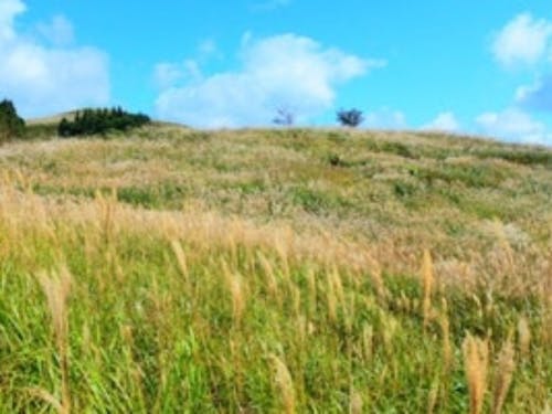 相談会実施市町村:紀美野町