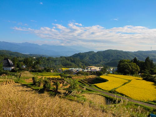 「ちょうどいい田舎 信州なかの」農村エリア