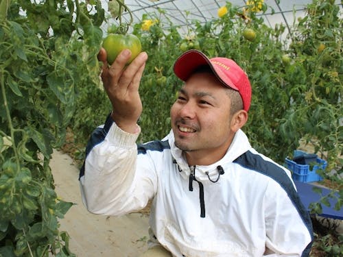先輩移住者　與田十也さん（倉敷市出身　トマト農家）