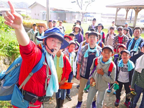オンラインで島を巡ります