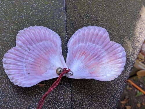 神社の絵馬もハートの形