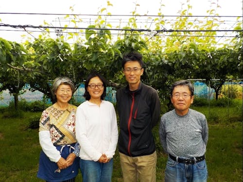 梨農家のみなさんが大切に育てています