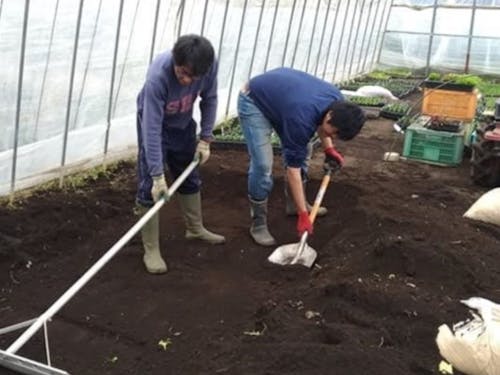 地域おこし協力隊の研修の様子