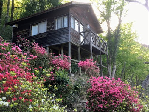 日当たりが良く、緑に包まれたコテージ。