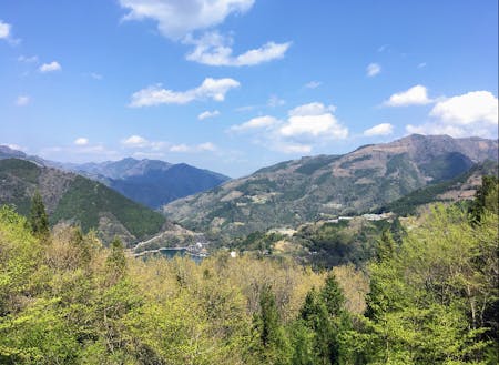 こんな風景を眺めながらのリモートワークもできます