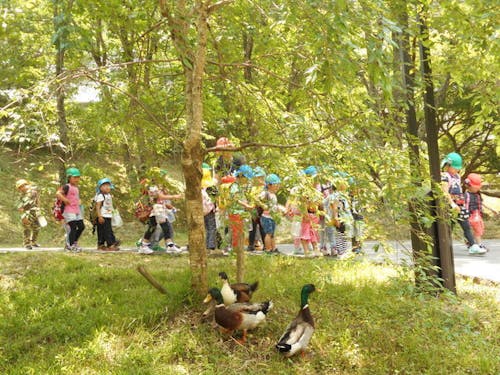 皆が幸せに暮らせる制度が整っており、子どももノビノビと育てることができます。