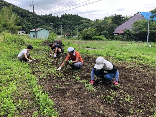 地元農家を援農体験