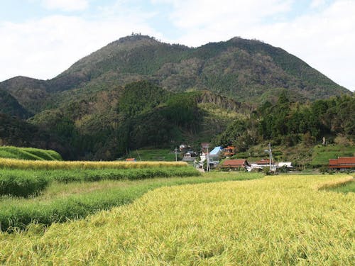 宇部市の北部地域の様子もオンラインで紹介します!