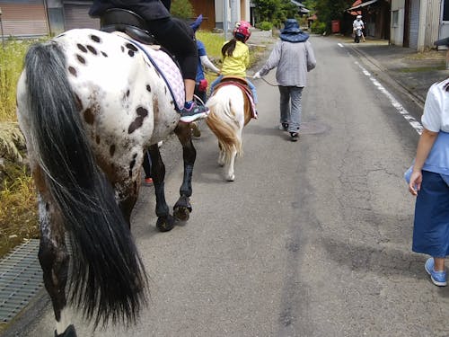 クマコウゲンがウマコウゲンに!