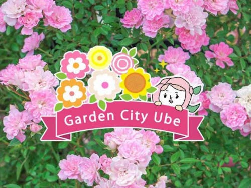 宇部市での地域おこし活動に意欲のある方お待ちしています！