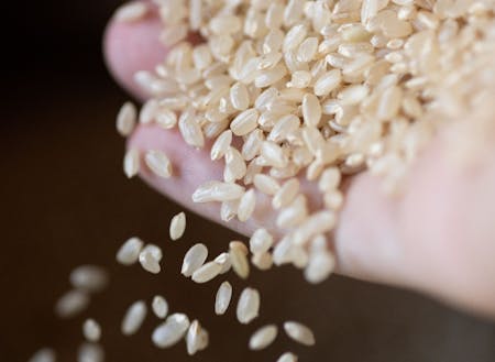 コウノトリ育む農法のお米は粒揃え良い！