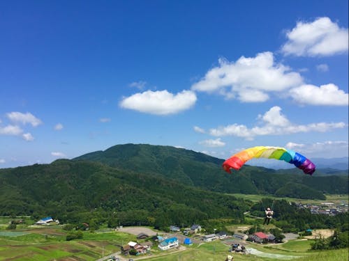 40分でアクティビティが楽しめる高原(冬はボードもできるよ)