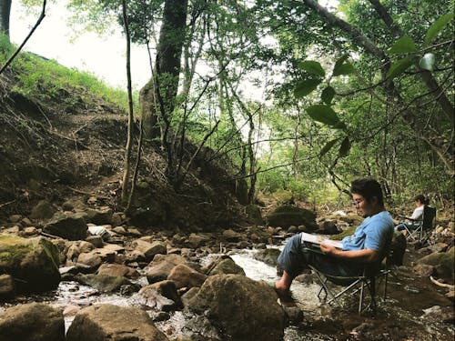 野村さんの茶畑近くの様子