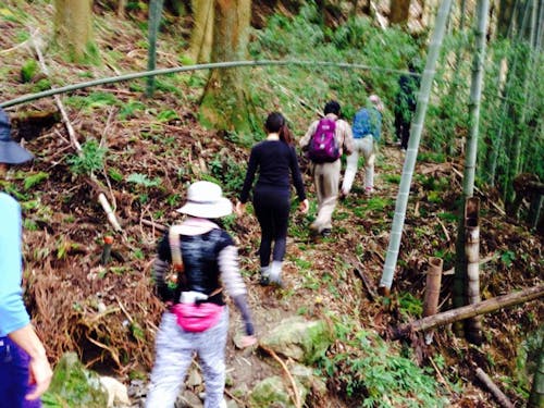 事業アイデアをほしがっている山を歩くことも。