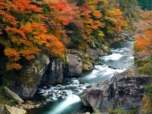 金砂・富郷の渓谷