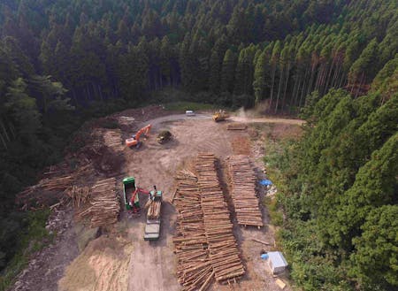 主土場（約1ha）のドローン撮影です。バイオマスチップ用の木材が大量にストックされています。これらは適宜チップ化し出荷されます。