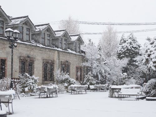 素敵な蔵を活用しきれていないので、一緒にやる人募集してます