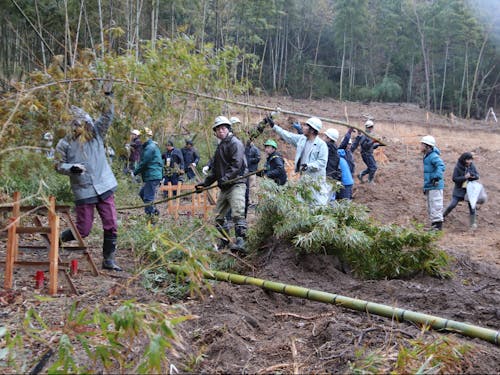 作品の材料となる竹の伐採作業風景（参考）