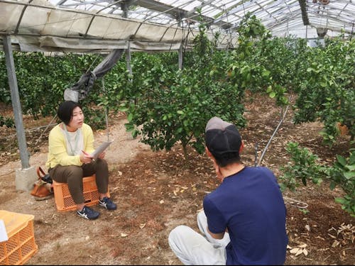 地元生産者へのインタビュー取材