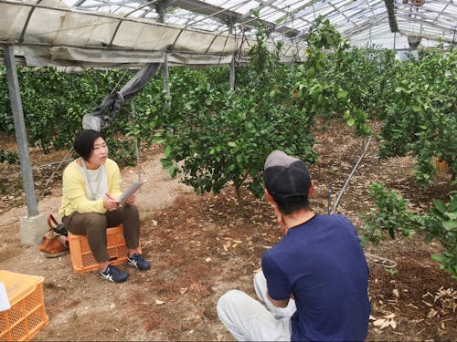 島内生産者への取材