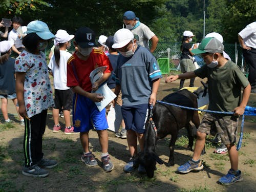 生き物の成長から学ぶ子どもたち