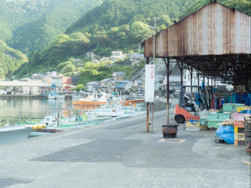 ゆるやかな時間が流れる梶賀町の様子。