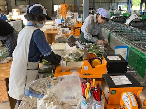 経験がなくても取り組める環境が整っています。