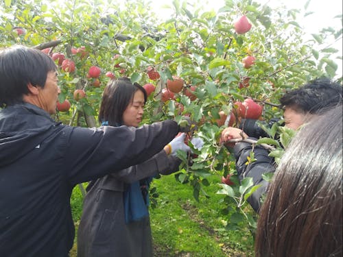 自然豊かな青森を肌で体感してみませんか？