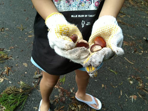 実際のエコツアーの様子