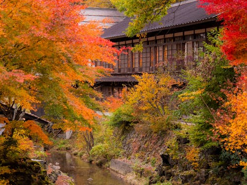 錦秋を楽しめる秘湯温泉もあります!