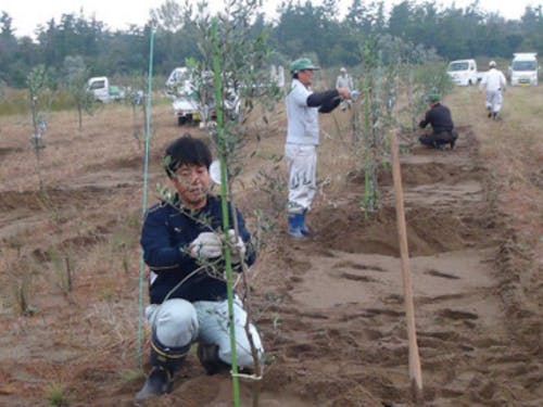 生産者としての就職を目指す