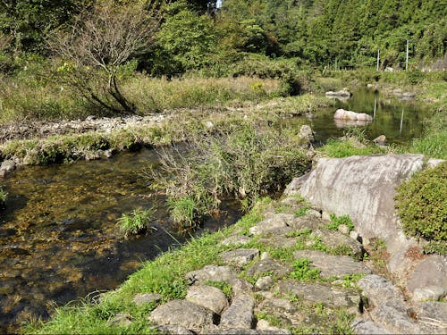 国指定文化財 佐波川関水