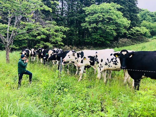 一次産業が元気すぎる町・八雲町に足を運んでみませんか?