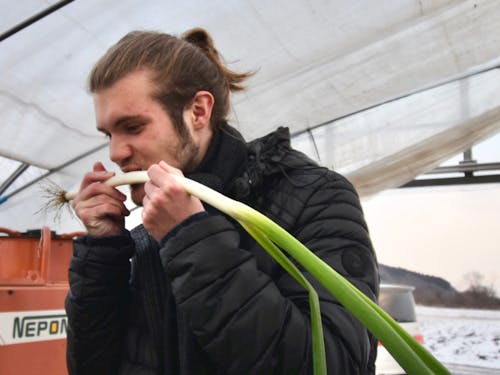 生の軟白ねぎにかじりつくと面白いアイディアが思い浮かぶかも…?