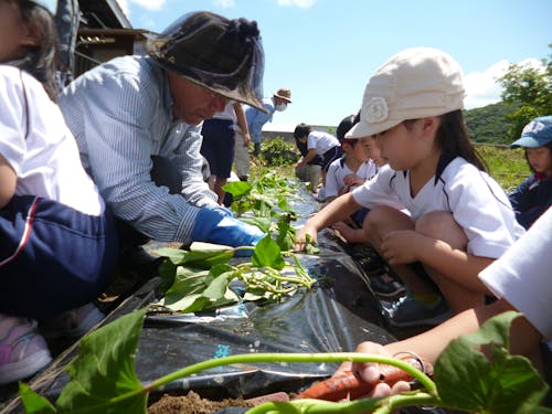 人口3000人に満たない島でのふるさと教育。子どもは地域みんなで育てます。