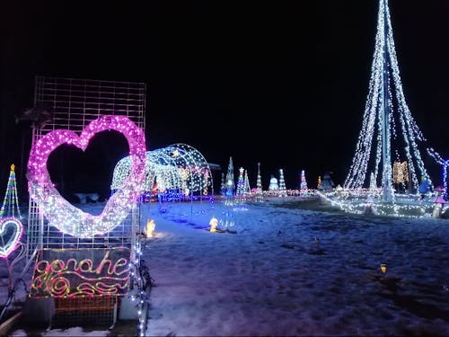 冬に輝くイルミネーション