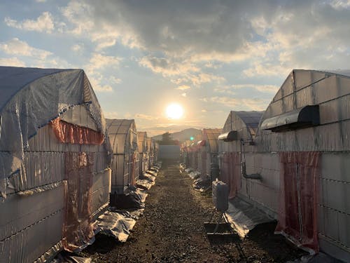 ”地域と人々の根となり美味しい革命を実らせよう”をモットーに活動をしています。