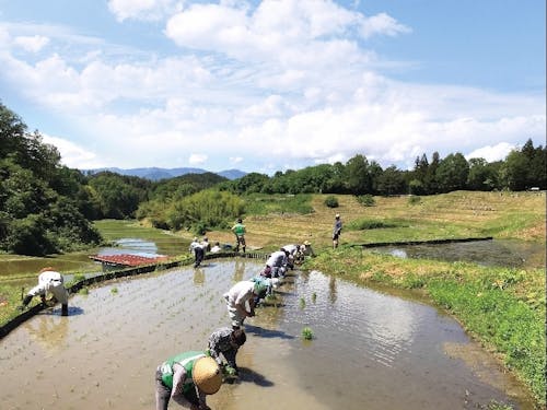 棚田100選にも選ばれている「よこね田んぼ」での田植えの様子