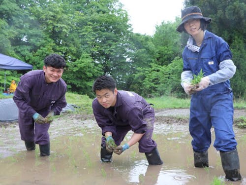田植えをする古屋選手・諏訪間選手・協力隊スタッフ