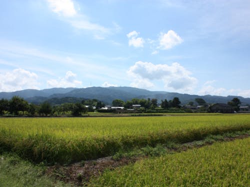 宝達山(写真提供:宝達志水町)