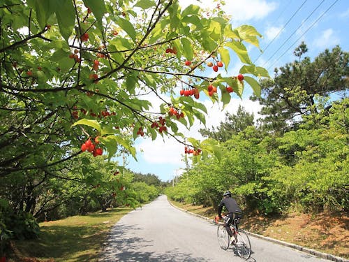 島にはまだまだ未発掘の観光資源が眠ってます(きっと)