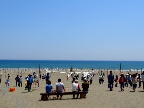 訪れる人も作品のひとつ