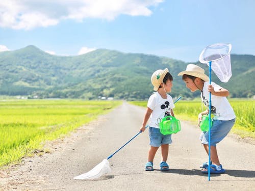 兄弟で虫捕り