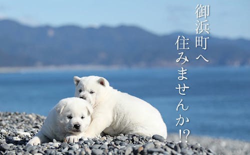 御浜町へ住みませんか？