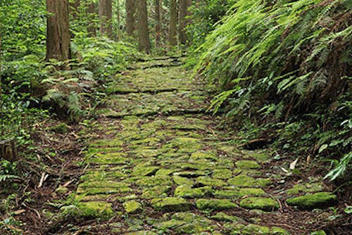 世界遺産にもなっている「熊野古道」